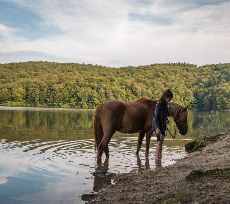 A cheval