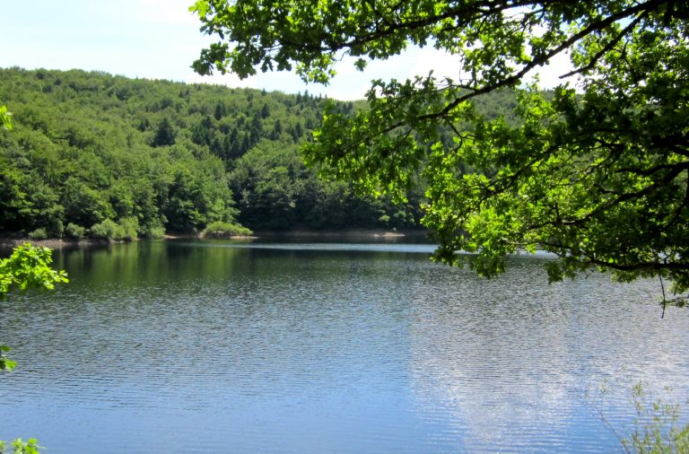 Lac des Saints Peyres