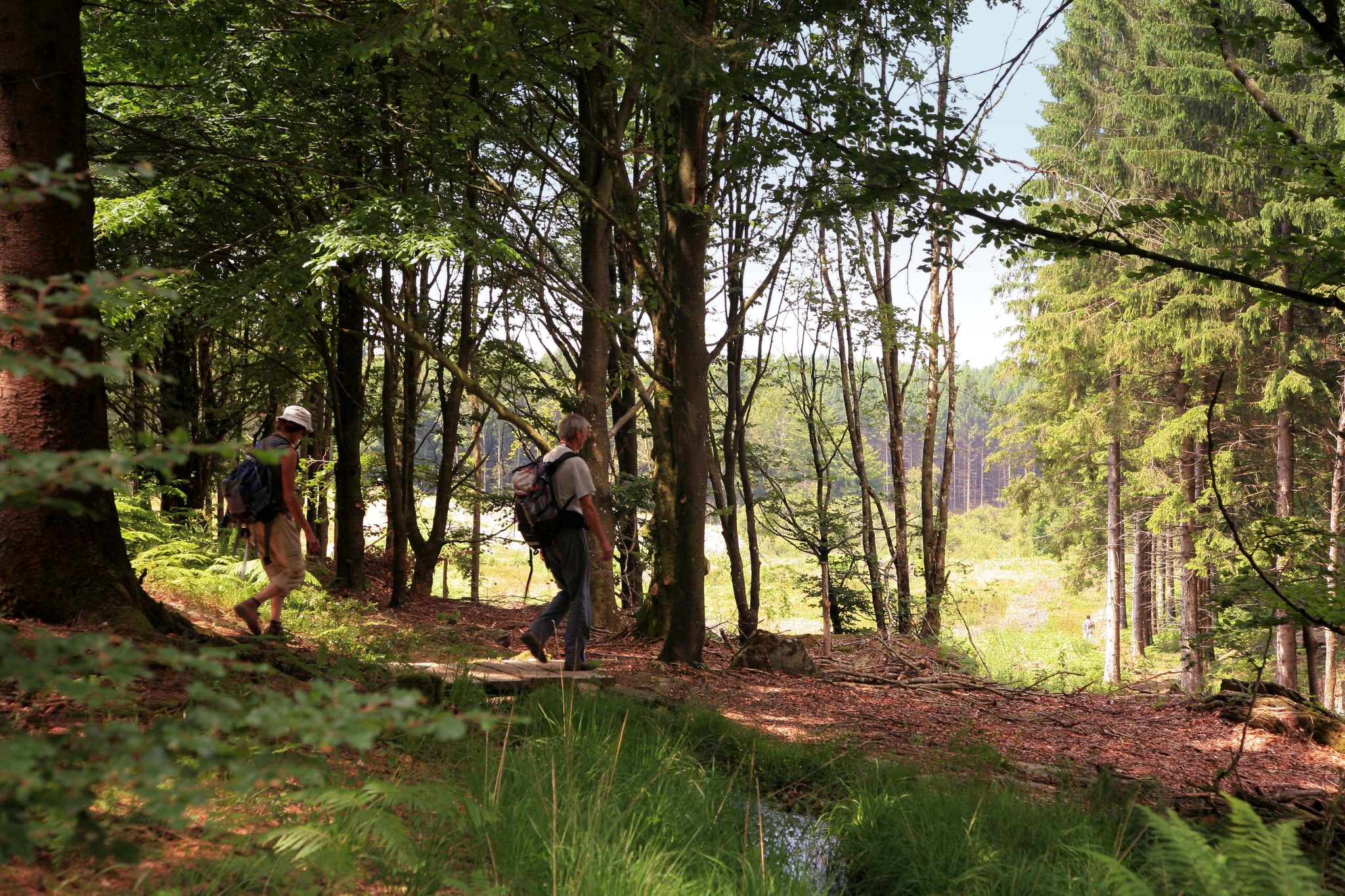 Randonnée en vallée du Thoré